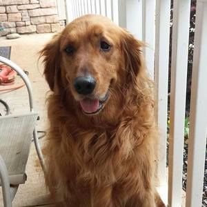 Meet your Posher, Bert